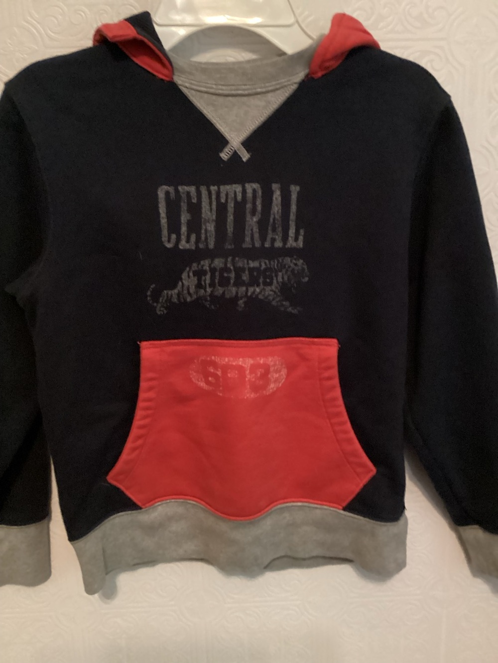 Gap Hooded Sweatshirt